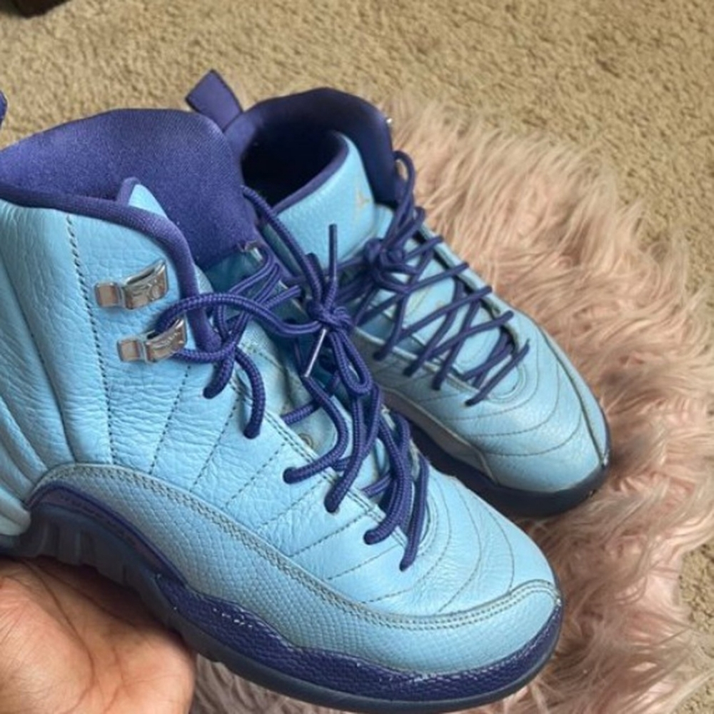 Air jordan 12 hornets